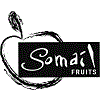 SOMAIL FRUITS