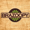 BRAZOOPY - DEMAX TRADING INC