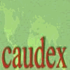 CAUDEX